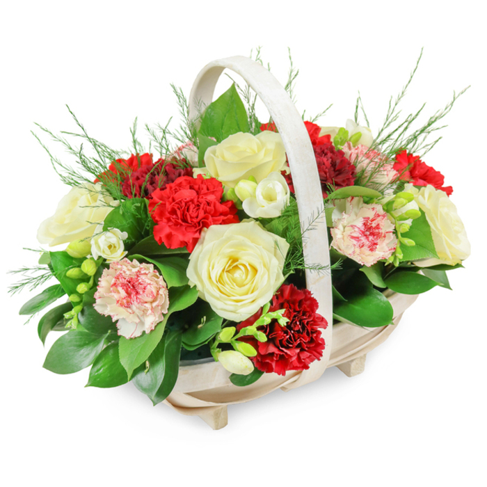 A tender, elegant funeral flower basket is presented on a crisp white backdrop, its quiet beauty carefully composed to offer comfort and respect. The basket is crafted from light-coloured, natural wood, with slender horizontal slats and a softly rounded, oblong base standing on four unobtrusive little feet. A smooth, off-white handle arches gently from side to side, framing the dome of flowers that rise above it. From this modest structure grows a lush mound of blooms, packed closely together so they seem to overflow the rim in a controlled cascade of colour and texture. Central to the design are several creamy white roses, fully open and perfectly formed, their velvety petals curving outward in soft spirals that feel serene and pure, ideal for a farewell gesture in Raynes Park or around Wimbledon Chase. Interlaced among them are rich red carnations, their rounded, ruffled heads adding both depth and a sense of passionate remembrance. Some carnations show soft pink tones or white petals edged in red, creating a gentle transition between the bold crimson and the calm ivory. Delicate white blossoms, likely freesias, appear in smaller clusters, with narrow buds and bell-shaped blooms perched on slender, slightly arching stems, contributing lightness and a suggestion of fragrance. Beneath and around the flowers, a generous layer of greenery provides structure: broad, glossy leaves form a deep green base, while fine, airy fern-like sprigs peek out from the top and sides, giving the whole arrangement a natural, almost garden-fresh feel. The lighting is bright and even, emphasising every contour, ruffle, and vein. This classic, domed basket would be fitting on a funeral service table, beside a casket, or as a condolence gift delivered to a home in Raynes Park, expressing sympathy, remembrance, and gentle support through timeless red and white blooms.